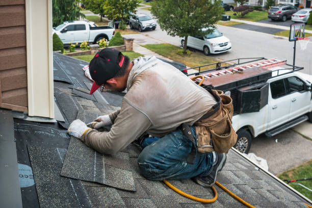 Professional Roof Repair technician working in Forestville, WI
